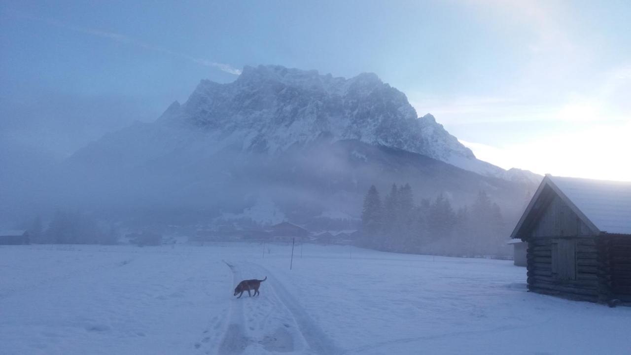 Tyrol Appartements Ehrwald Dış mekan fotoğraf