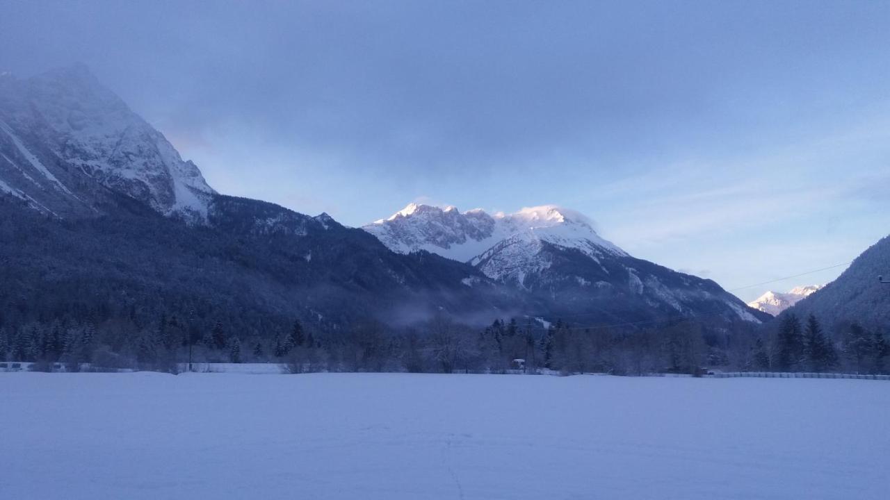 Tyrol Appartements Ehrwald Dış mekan fotoğraf