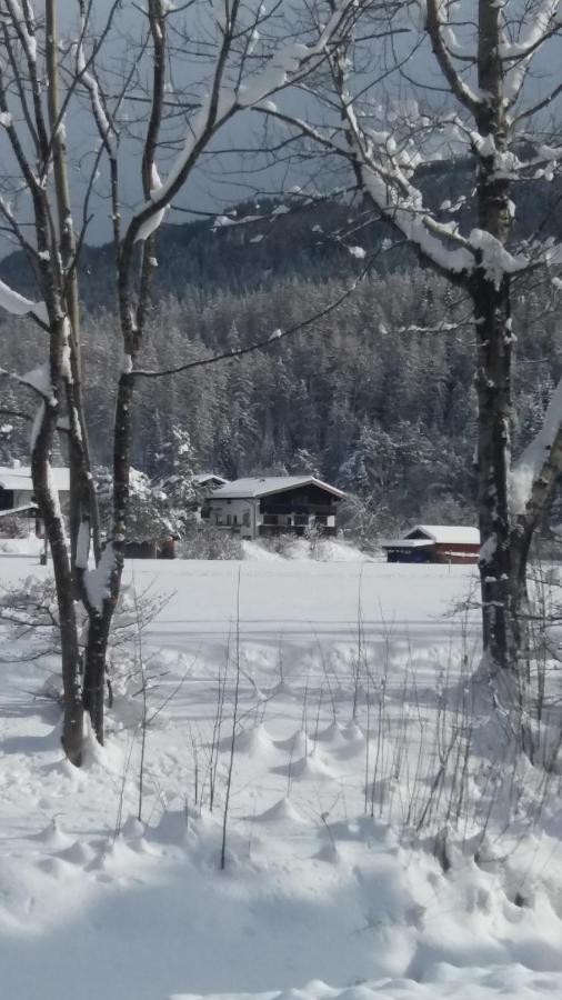 Tyrol Appartements Ehrwald Dış mekan fotoğraf