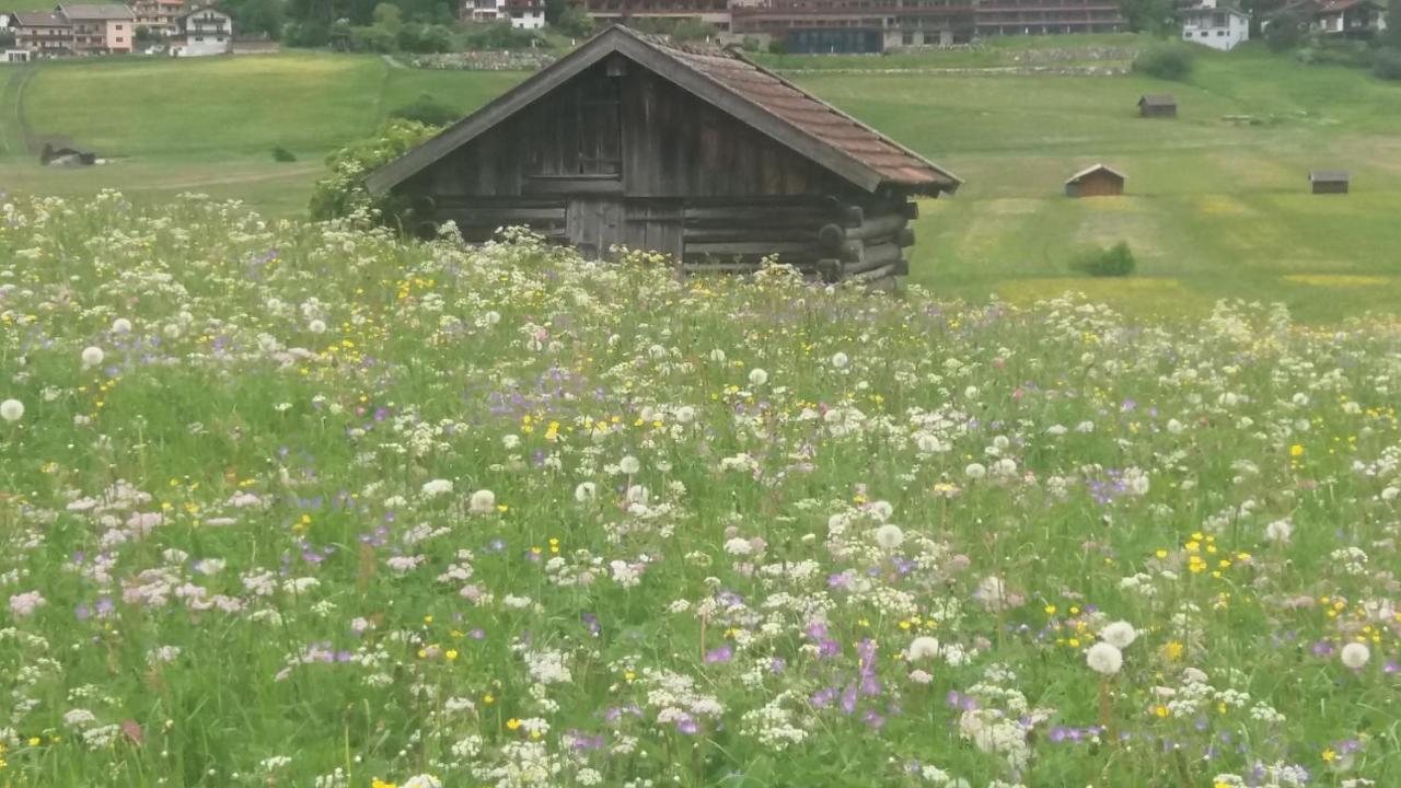 Tyrol Appartements Ehrwald Dış mekan fotoğraf