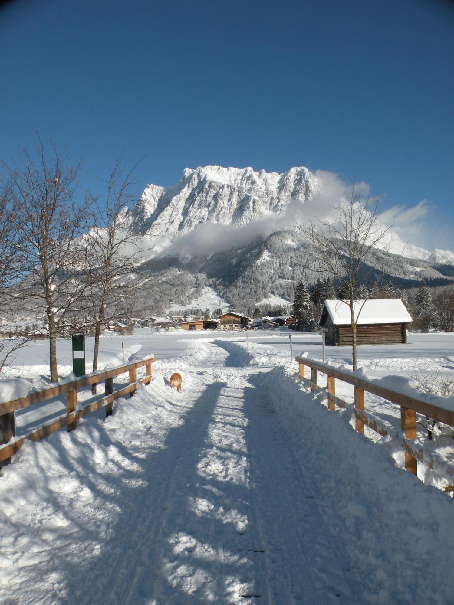 Tyrol Appartements Ehrwald Dış mekan fotoğraf